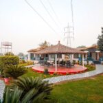 Lawn 1