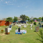 Lawn 2