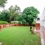 Lawn Area 1