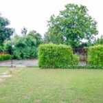 Lawn Area 2