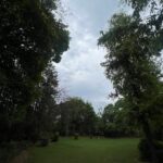 Lawn B