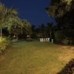 Lawn C