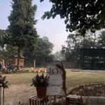 Lawn with Decor A