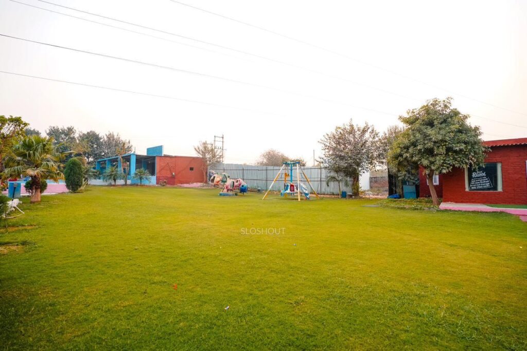 Lawn(2)