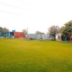 Lawn(2)
