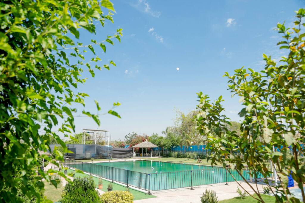 Mannat 7