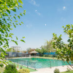 Mannat 7