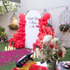 Vandana's wedding proposal